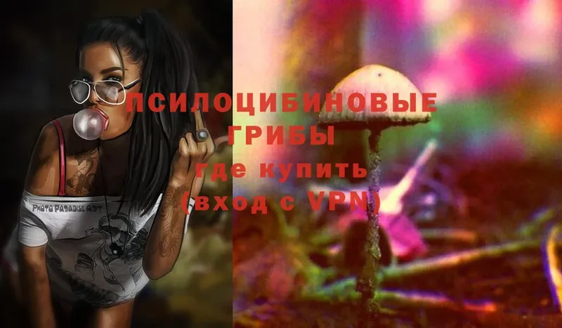 Псилоцибиновые грибы Psilocybine cubensis  закладка  Скопин 